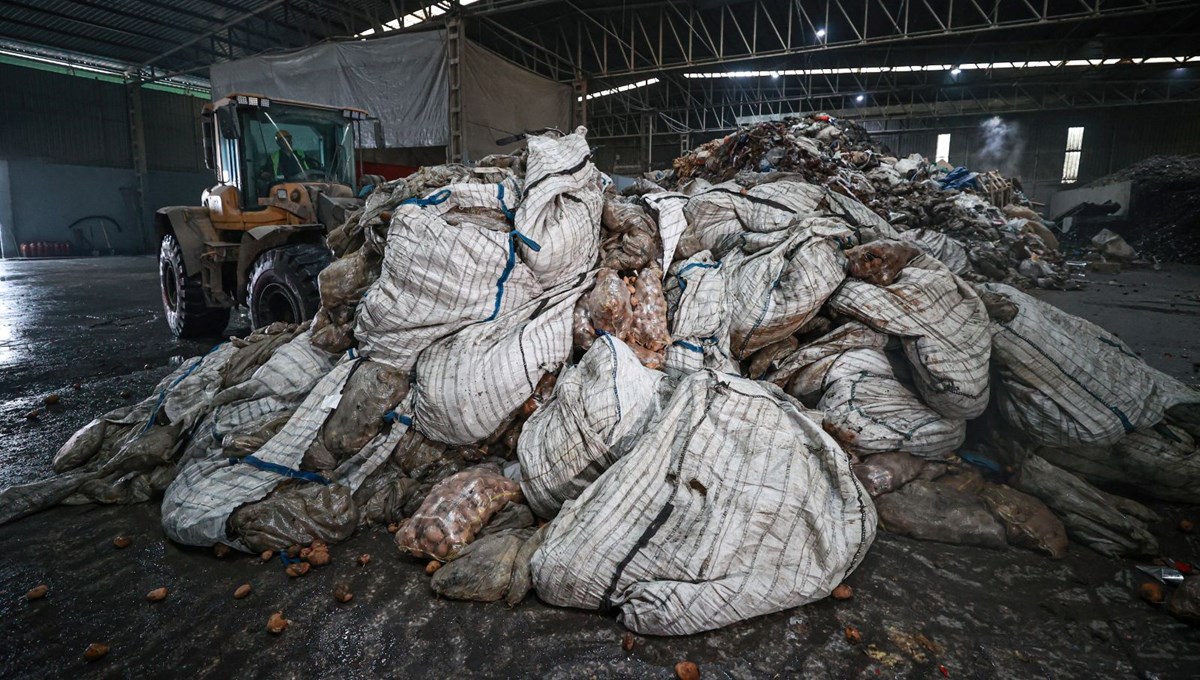 Türkiye'de en çok tüketilen sebzede hastalık. 400 ton patates imha edildi, 2 bin 100 ton daha imha edilecek