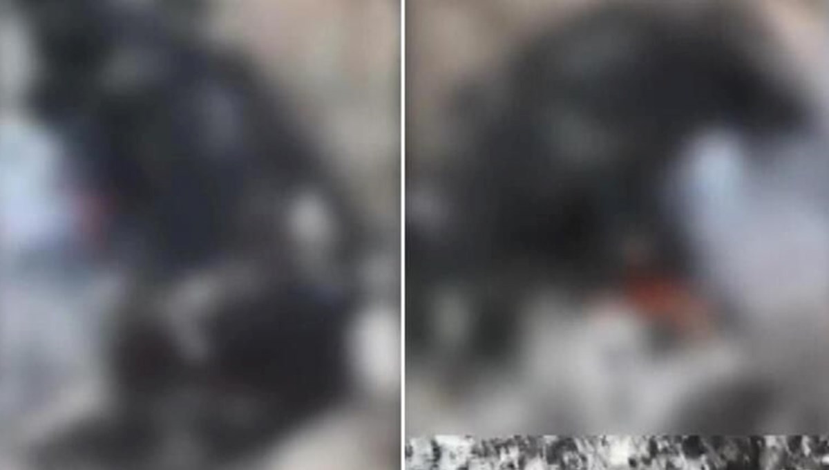 Zeytinburnu'nda vahşet: Köpeği yakarak öldürdüler Zeytinburnu'nda vahşet: Köpeği yakarak öldürdüler