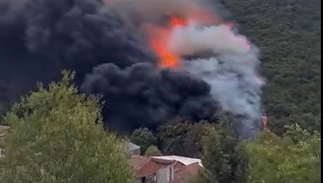 Kocaeli'de orman yangını çıktı