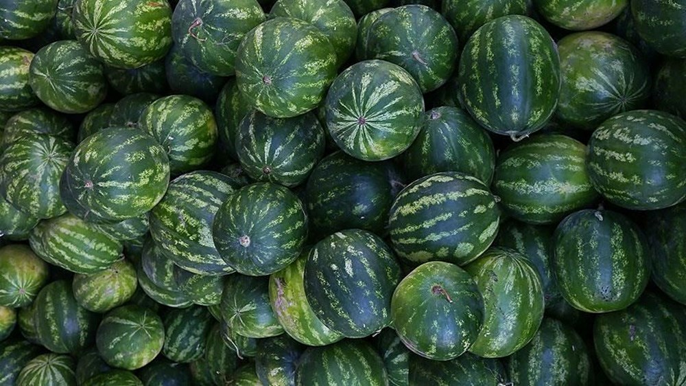 İyi karpuz nasıl seçilir? - 6