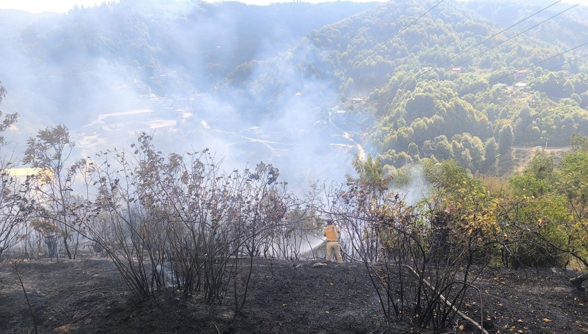 Zonguldak'ta 2 dekarlık alanda yangın