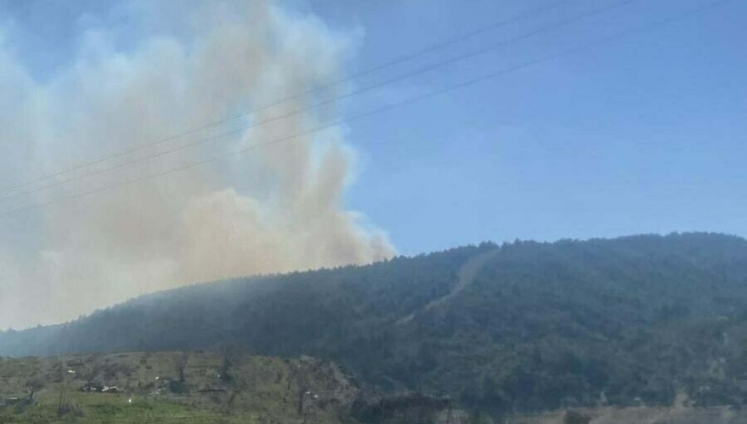 Çanakkale'de orman yangını