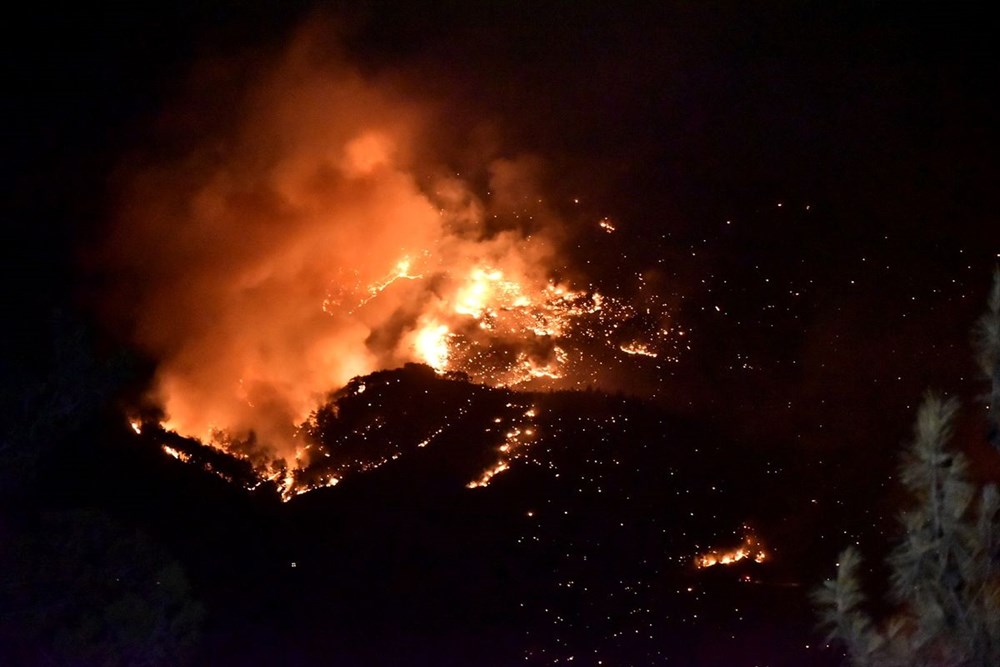 Hatay ve Mersin'de orman yangını - 4