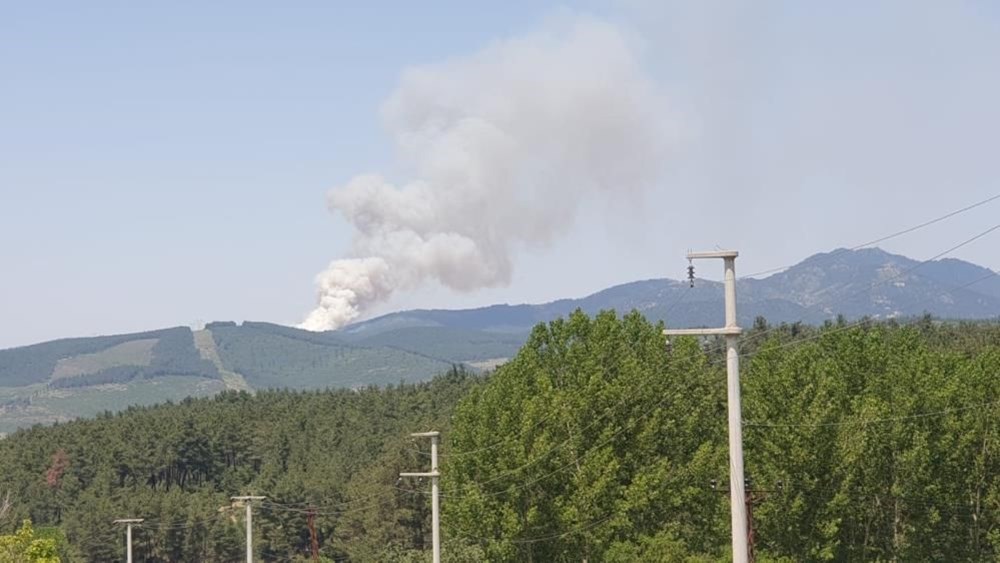 Bursa, Muğla ve Antalya'da orman yangını - 2