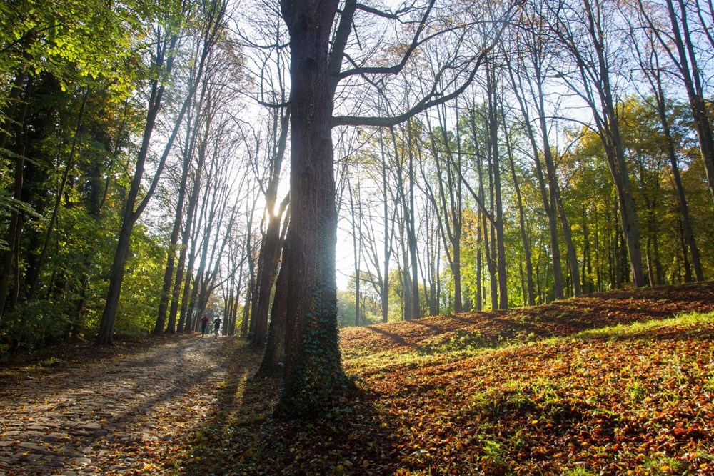 İstanbul'da sonbahar güzelliği yaşayabileceğiniz 5 orman - 3