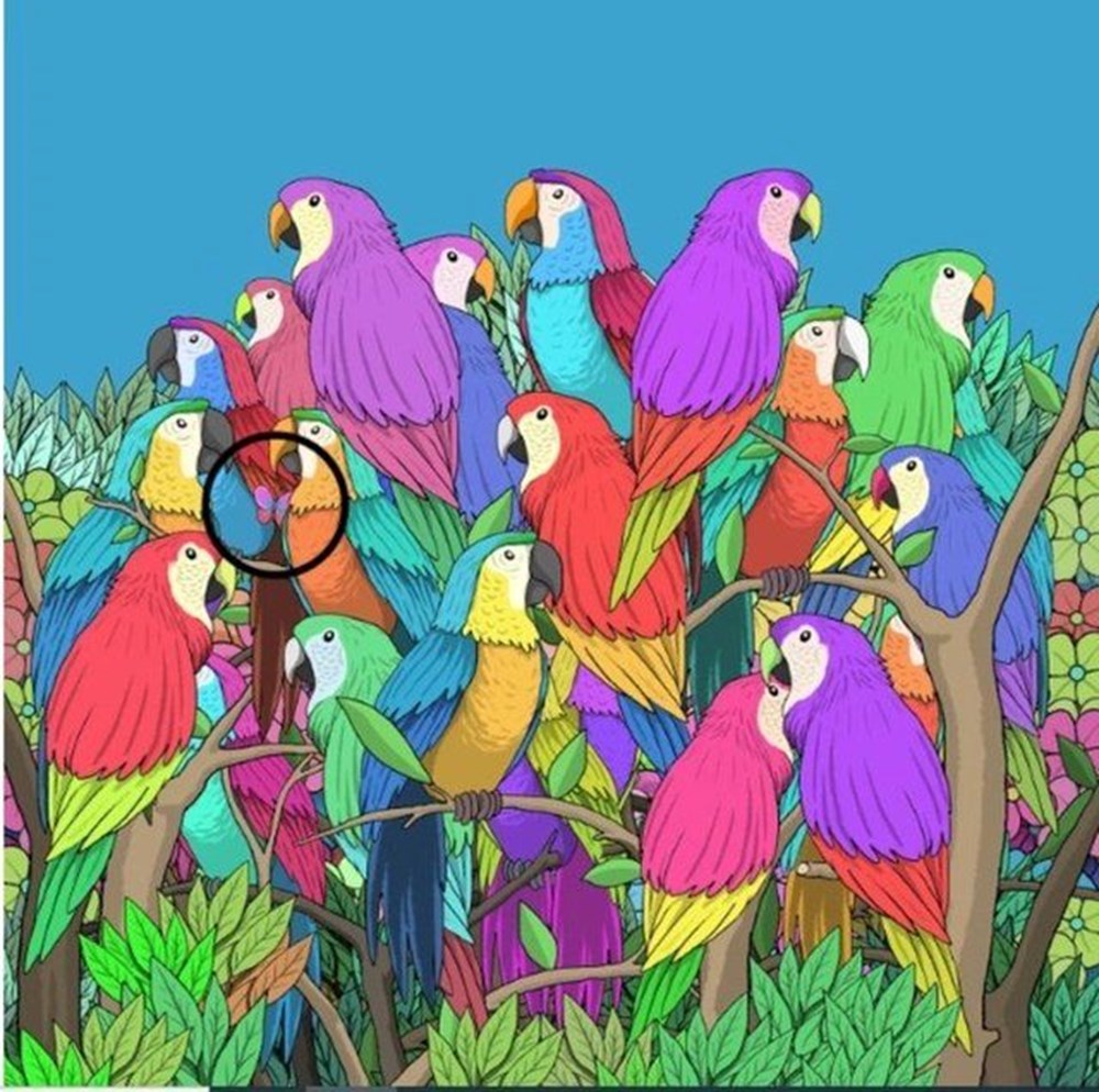 Bu görsel size kim olduğunuzu söylüyor: Resimde ilk önce hangi hayvanı gördünüz? - 59