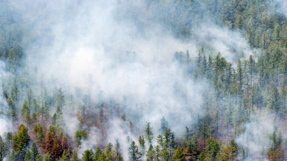 Sibirya yanıyor: Yangınları durdurmak için yapay yağmur
bulutları oluşturuldu - 6