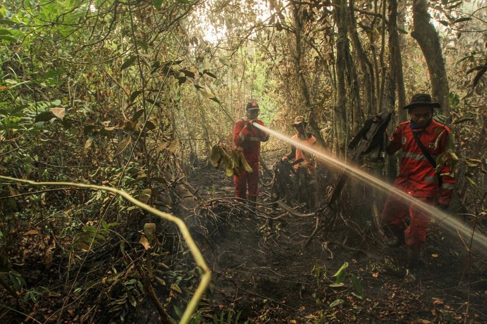 Endonezya yangınlar için yapay yağmur yağdıracak - 14