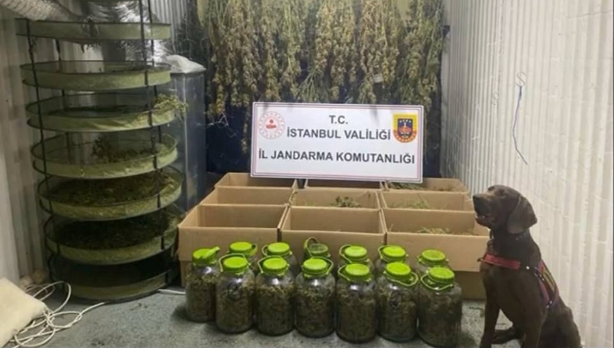 Ataşehir'de uyuşturucu operasyonu Ataşehir'de uyuşturucu operasyonu