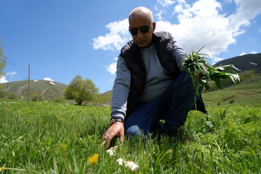 Tmnb8papYU6SBVILEdvDgw