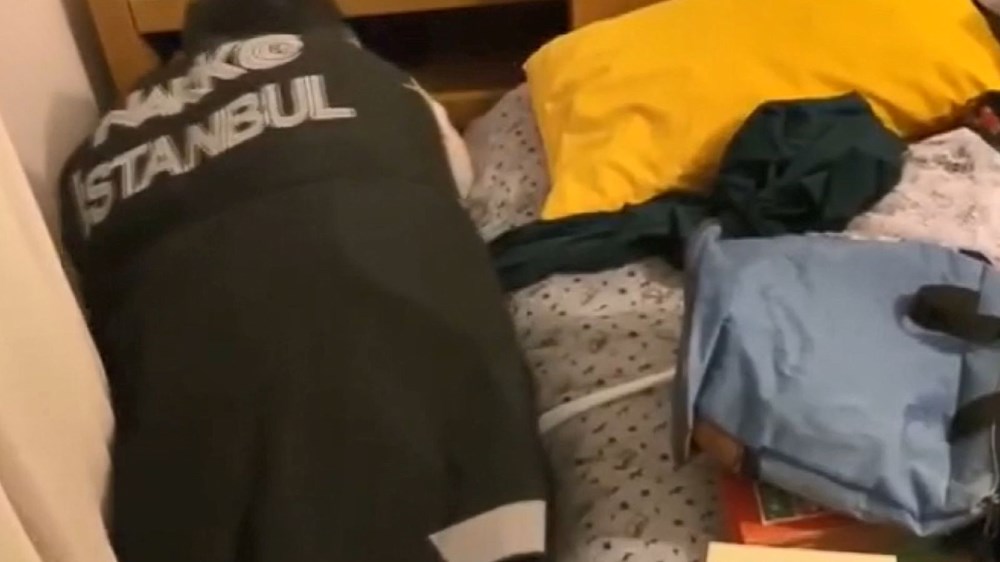 Baronun sağ kolu “Kara Mamba” yakalandı (Operasyonu duyunca Türkiye'den kaçırmak için harekete geçmişler) - 9