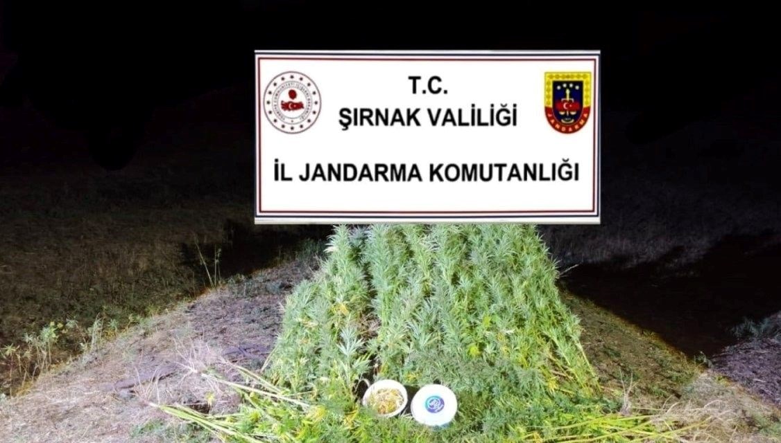 Şırnak'ta kaçakçılık operasyonları