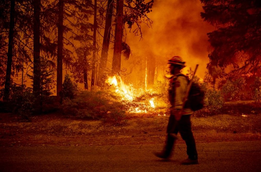 California'da orman yangınları evleri küle çevirdi - 11