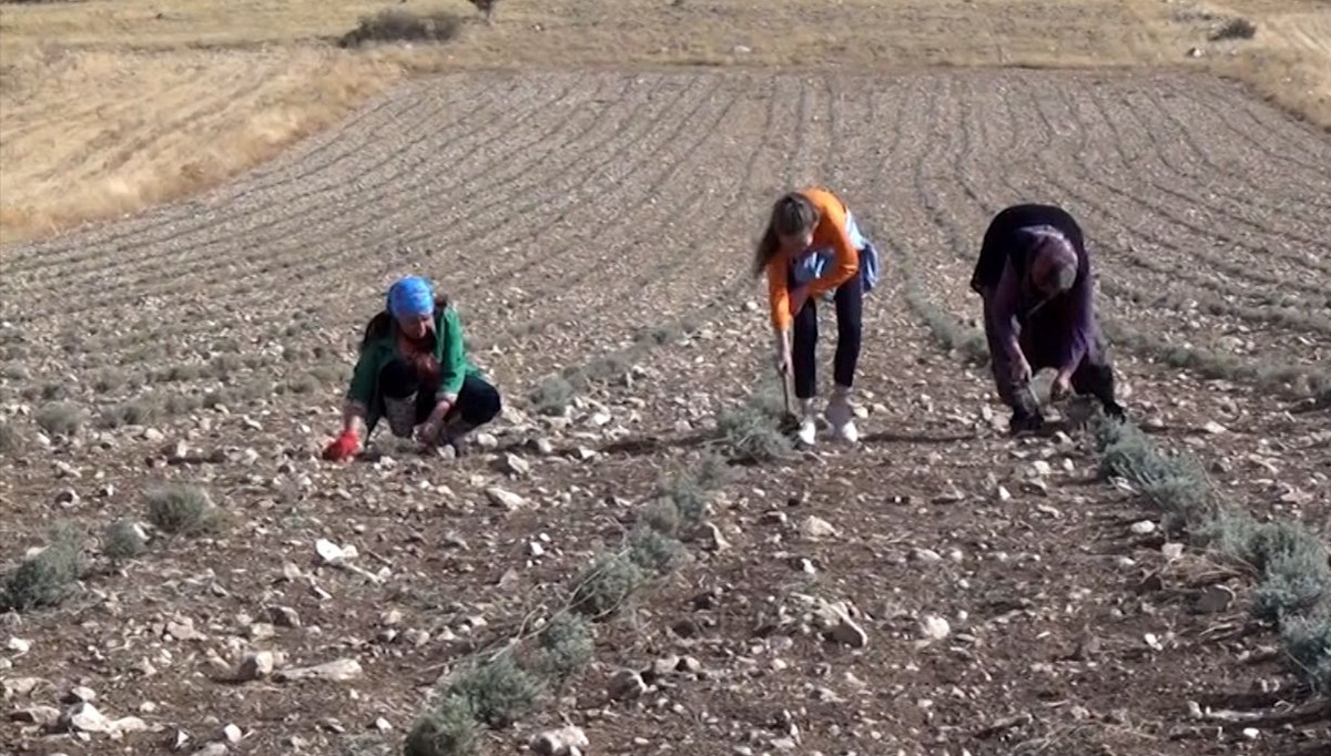 Susuz tarım için ABD'den Burdur'a geldi