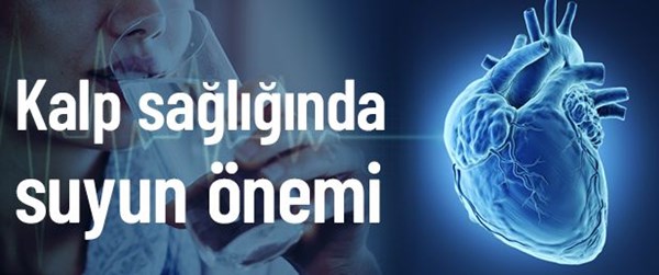 Soru-Cevap: Su kalp sağlığı için neden önemli?