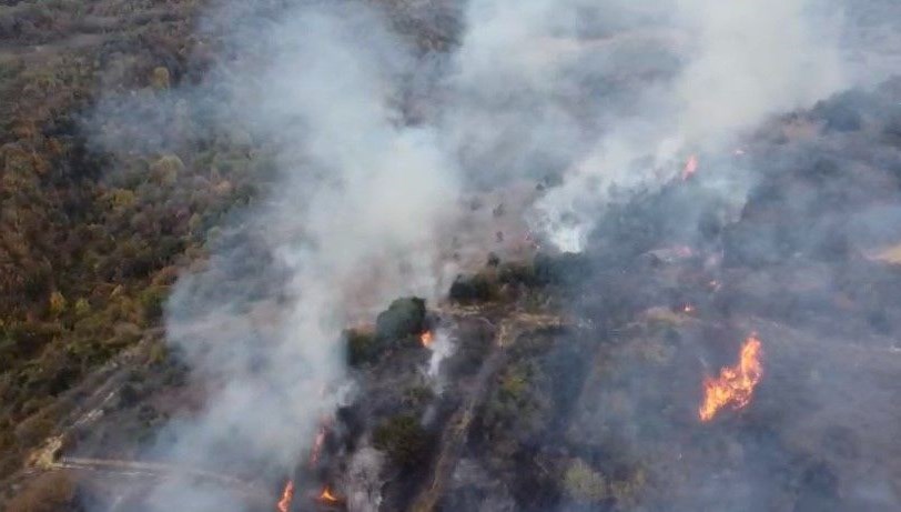 Çanakkale'de orman yangını: Havadan ve karadan müdahale ediliyor