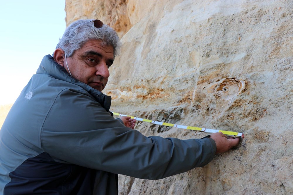 Edirne'de 8 milyon yıllık mamut fosilleri bulundu - 11