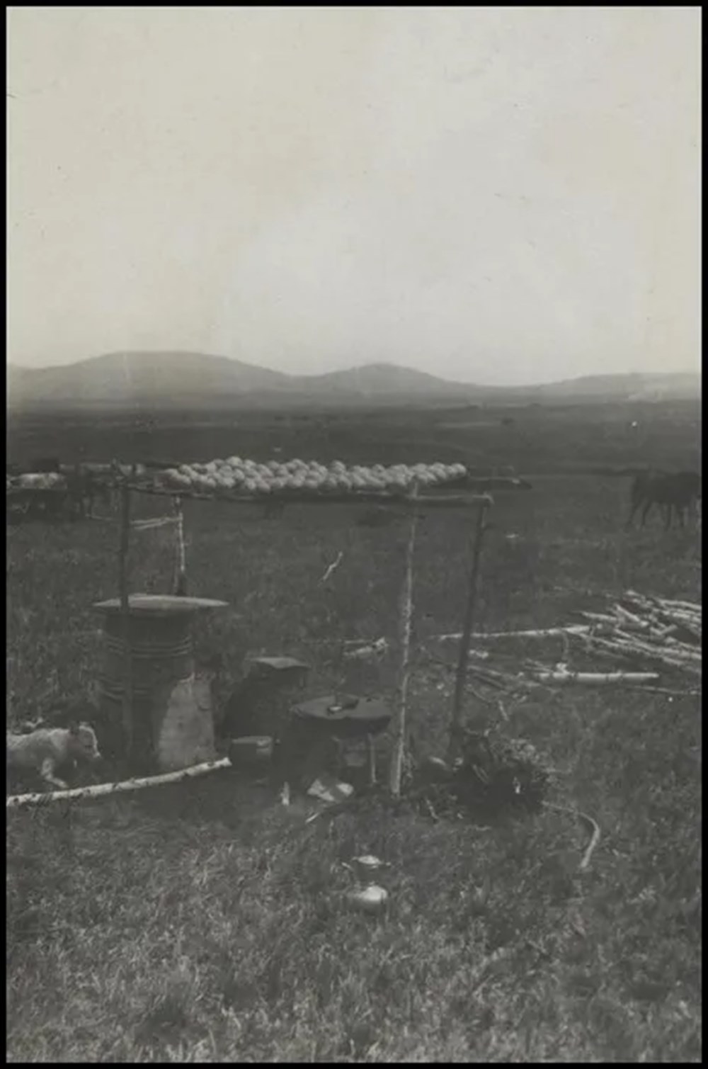 Bilim kurgu değil Türk boylarının 111 yıllık fotoğrafları. Gizemli heykeller, gelişmiş aletler, tanıdık kıyafetler (106 fotoğrafla gizemli Türk tarihi) - 30