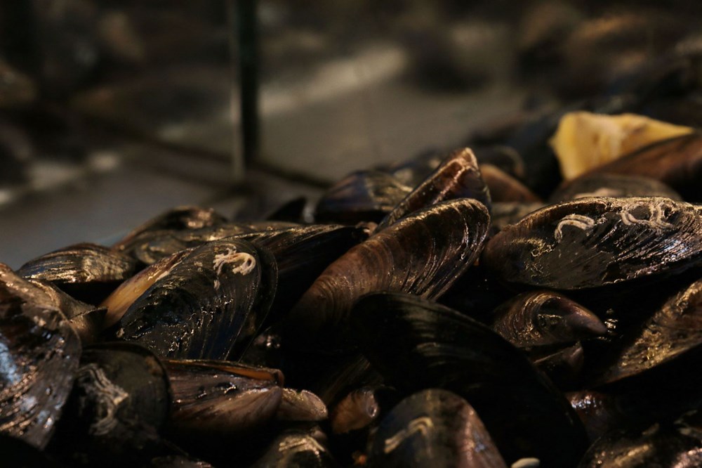 Türkiye'nin en popüler 10 sokak lezzeti - 12