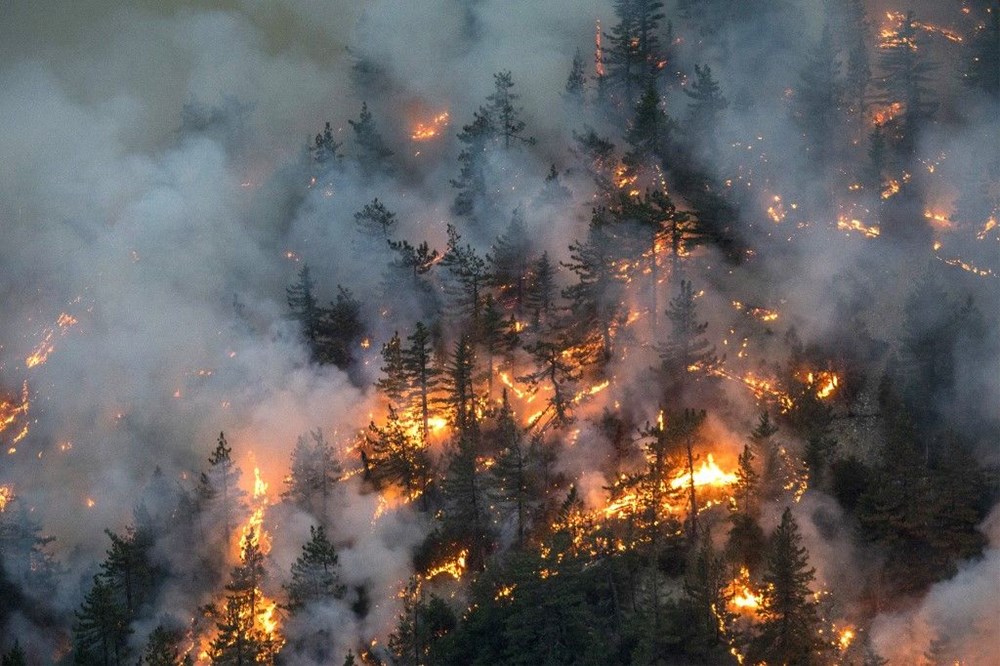 ABD'deki orman yangınlarında ölü sayısı 33'e çıktı - 11