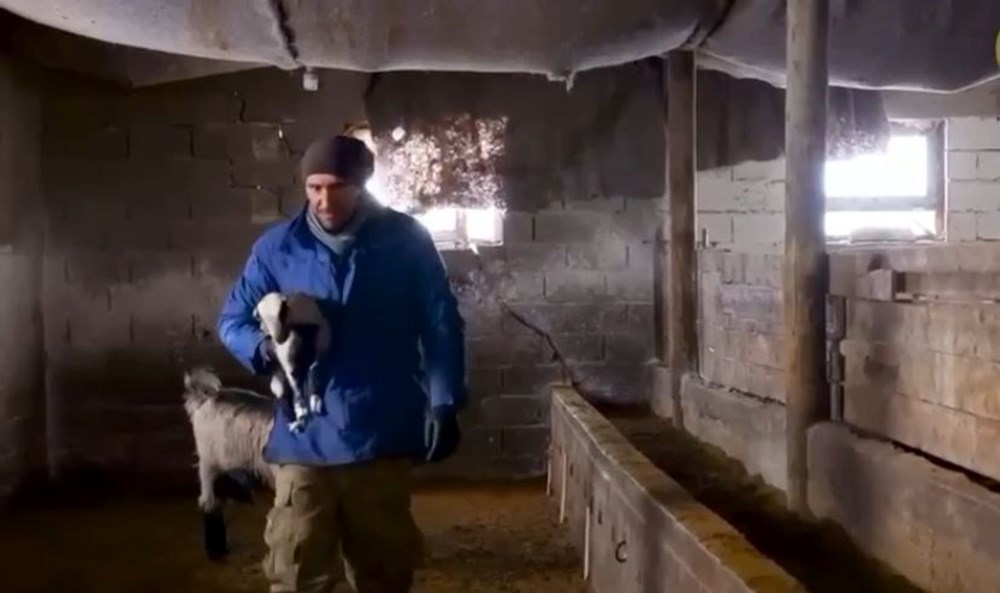 Yabancı Eller, Tanıdık Topraklar: Gurbetten Dönüş, Çobanlık Aşkı 74 Tuq1p47Y6U6mT5ESMoHgkw