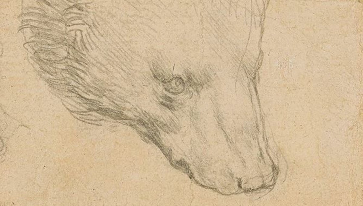 Leonardo da Vinci'nin çizimi servet değerinde satılacak