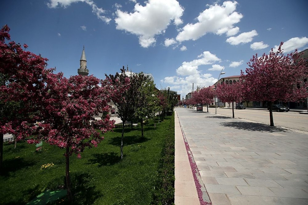 Güneşli Günler Kapıda: Bahar Beklentisi Gerçeğe Dönüşüyor 77 Tzz UuyevUevkH1yonlFpQ