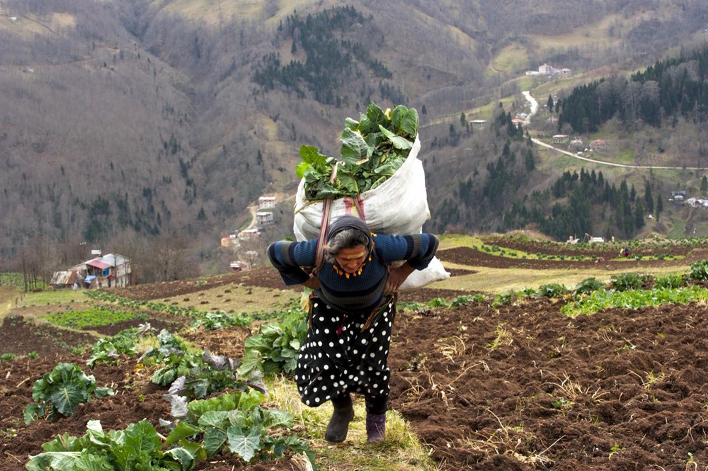 Karadeniz'in çalışkan kadınları: Köy toplansa evde tutamaz - 1