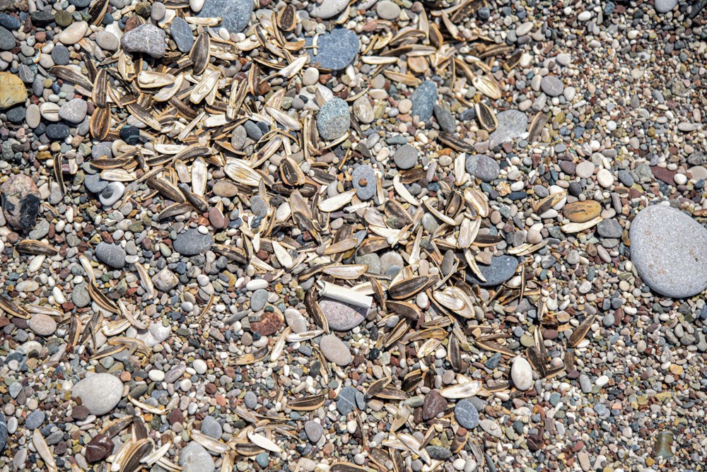 Antalya'da utandıran görüntüler! Dünyaca ünlü sahili çöplüğe çevirdiler - 1