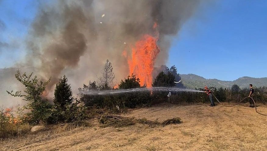 Bursa'da orman yangını