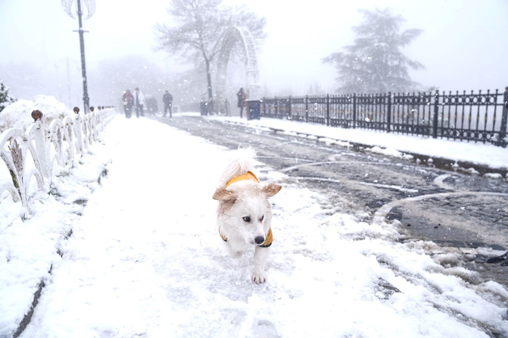 İstanbul'a 30 cm kar... Okullar tatil olabilir | Kandilli: Her yerde kar topu oynanacak - 2