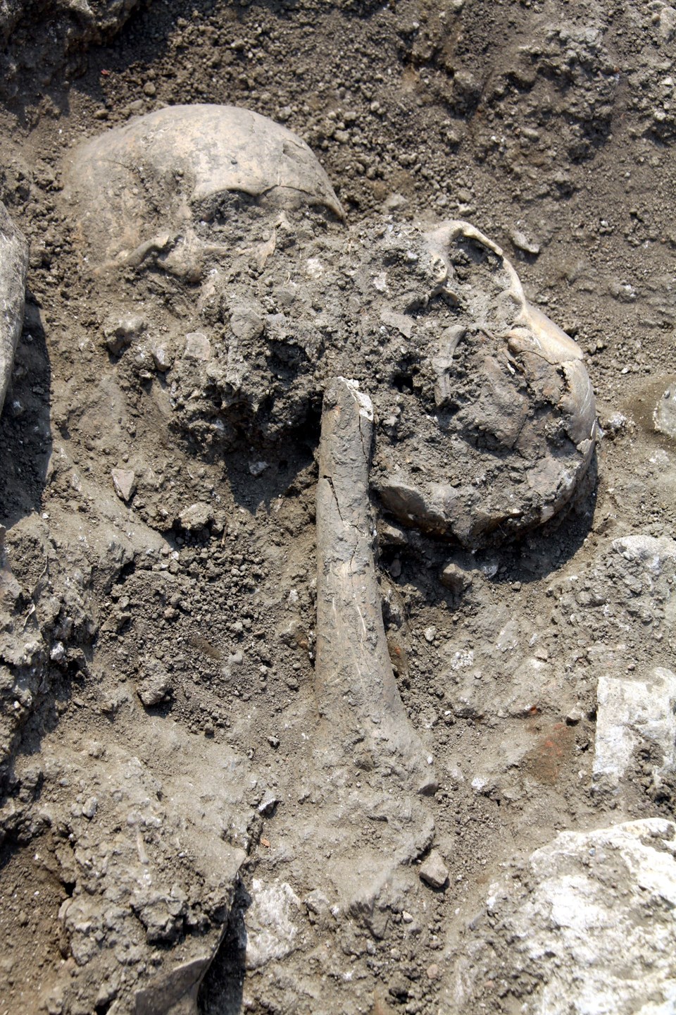 Doç. Dr. Şengül Aydıngün: Bathonea’da 800 bin yıl öncesinin yaşam izleri var - 2