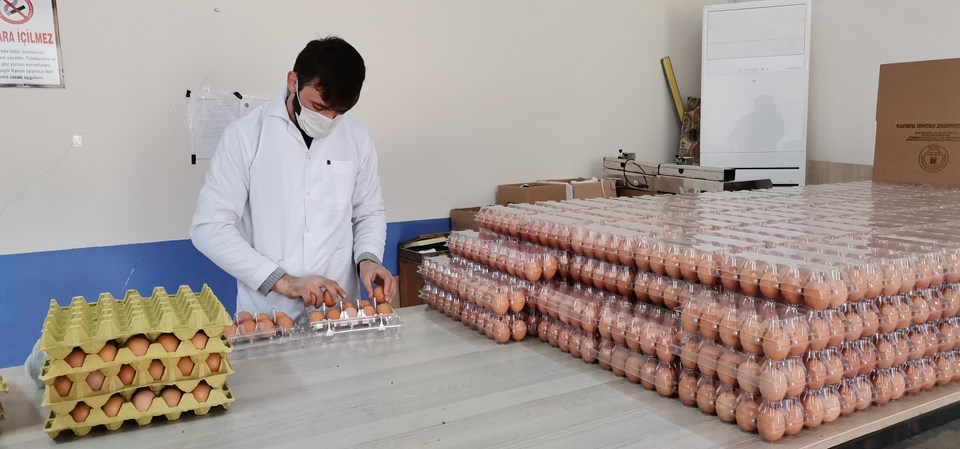 Pandemide yumurtaya talep yüzde 100 arttı - 1