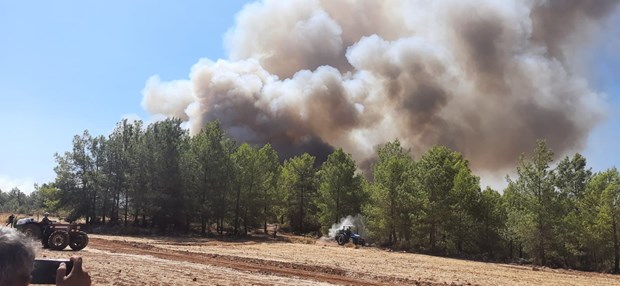 YAPILAŞMAYA İZİN VERİLMEYECEK ! 11 Antalya/Seydikemer