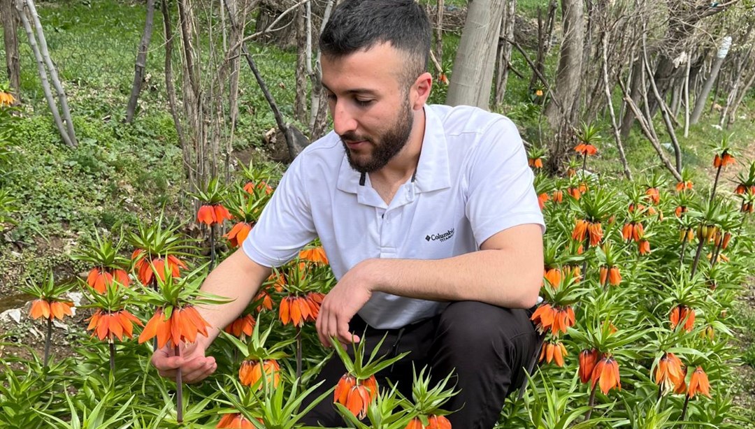 Halk arasında"Ağlayan Gelin" olarak biliniyor: 20 günlük ömrü var, koparmanın cezası 244 bin lira