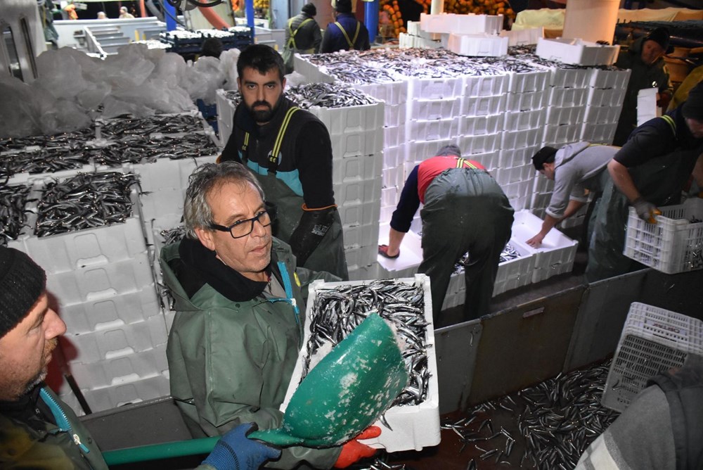Balıkçılardan hamsi avının serbest olduğu İğneada'ya akın - 13