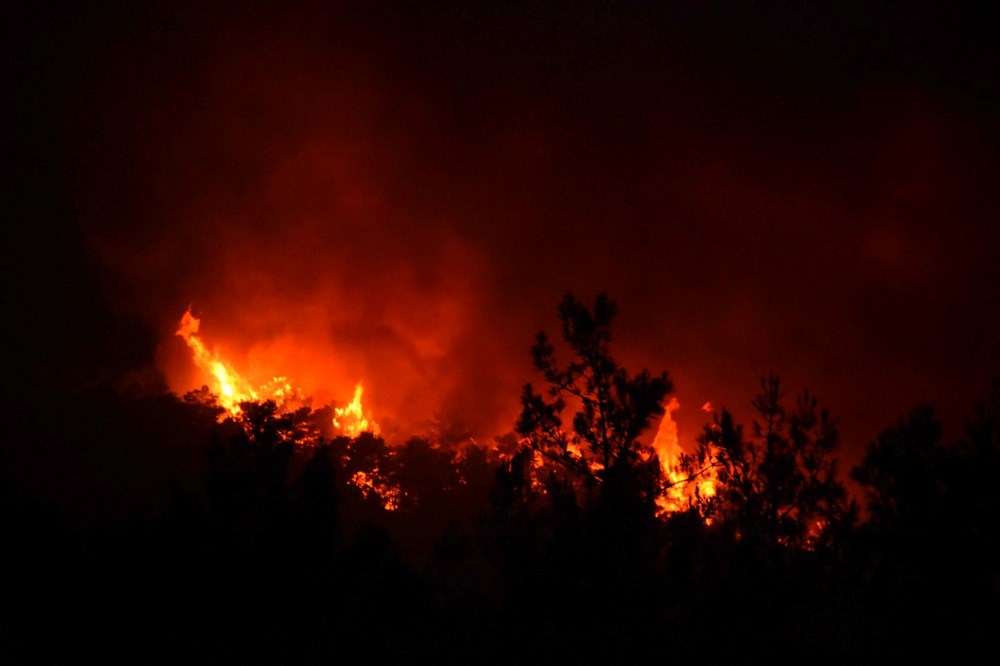 Marmaris'te orman yangını: Havadan müdahale yeniden başladı - 14