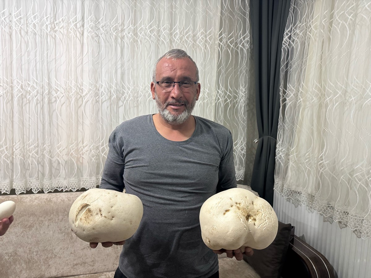 U6t40BuwJUe-cKzrnkvIeQ.jpg