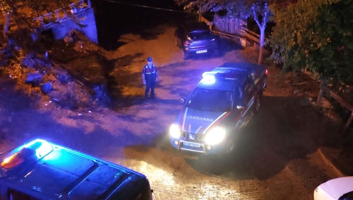 'Ceviz ağacının dalını neden kestin' kavgası: 1 ölü, 2 yaralı