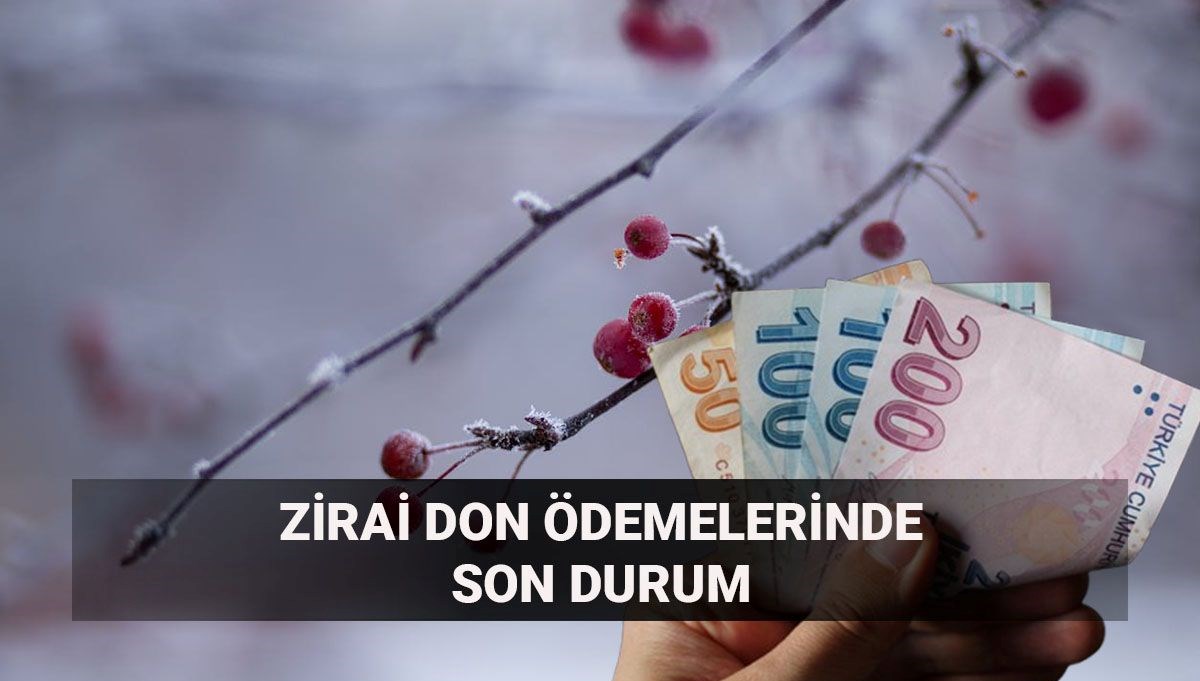Zirai don ödemelerinde son durum: 2025 zirai don desteği ne zaman, hangi ürünler için verilecek?