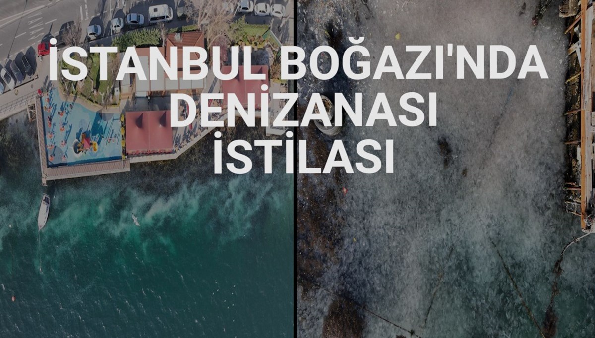 İstanbul'da Sarıyer sahilini denizanaları istila etti İstanbul'da Sarıyer sahilini denizanaları istila etti
