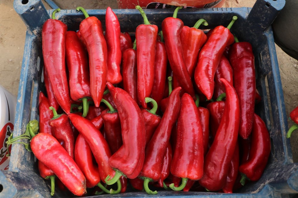 Zam Şampiyonu: Aynı Ürün, Cep Yakan Yeni Fiyat! 73 U8ot0 2mgkSE OfV9r3t2A