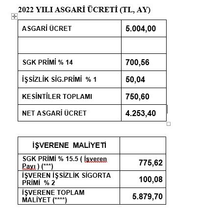 SON DAKİKA: 2022 Asgari ücret Belli Oldu - Son Dakika Ekonomi Haberleri ...