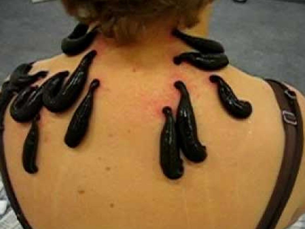 Suluk Yurt Disindan Buyuk Talep Goruyor Saglik Haberleri Ntv