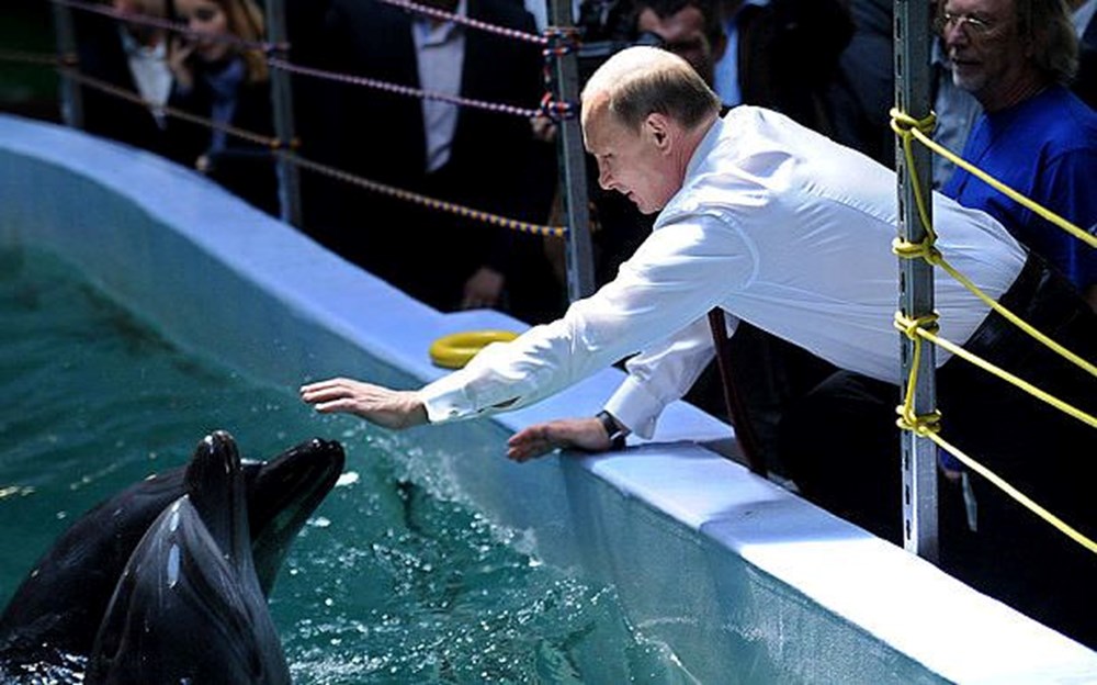 Rusya, Karadeniz’deki üssünü korumak için su altına yunuslardan oluşan bir ordu yerleştirdi: Uydu görüntüleri yayınlandı - 7
