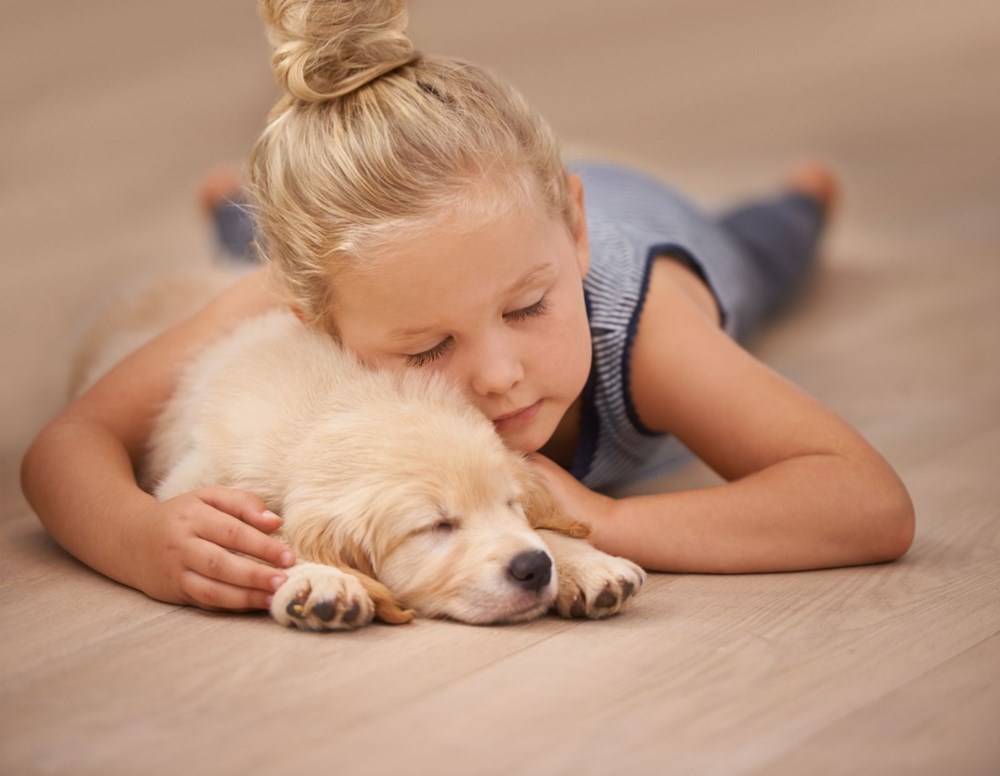 Bilim insanlarından yeni formül Köpeğiniz gerçekten kaç yaşında