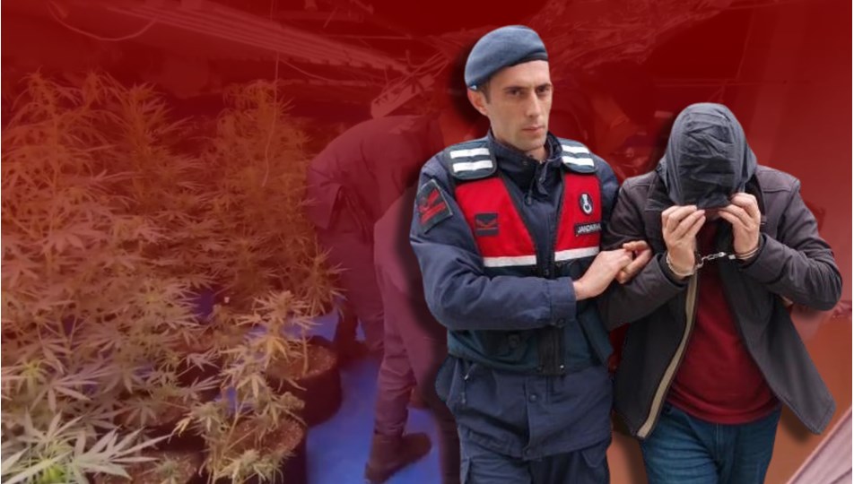 YouTube'dan izledi, evini uyuşturucu tarlasına çevirdi