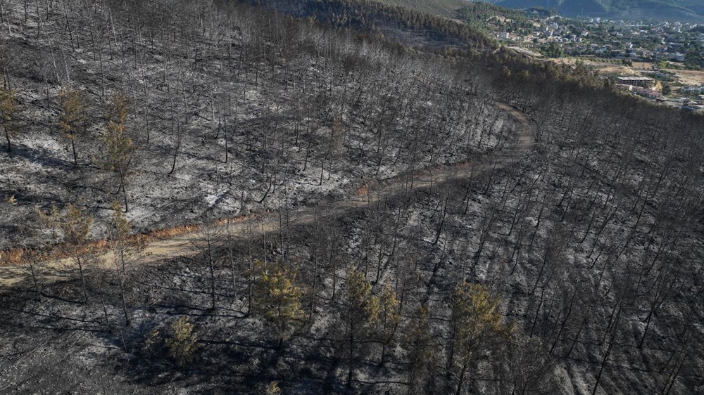 Hatay'ın ciğerleri kül oldu - 2