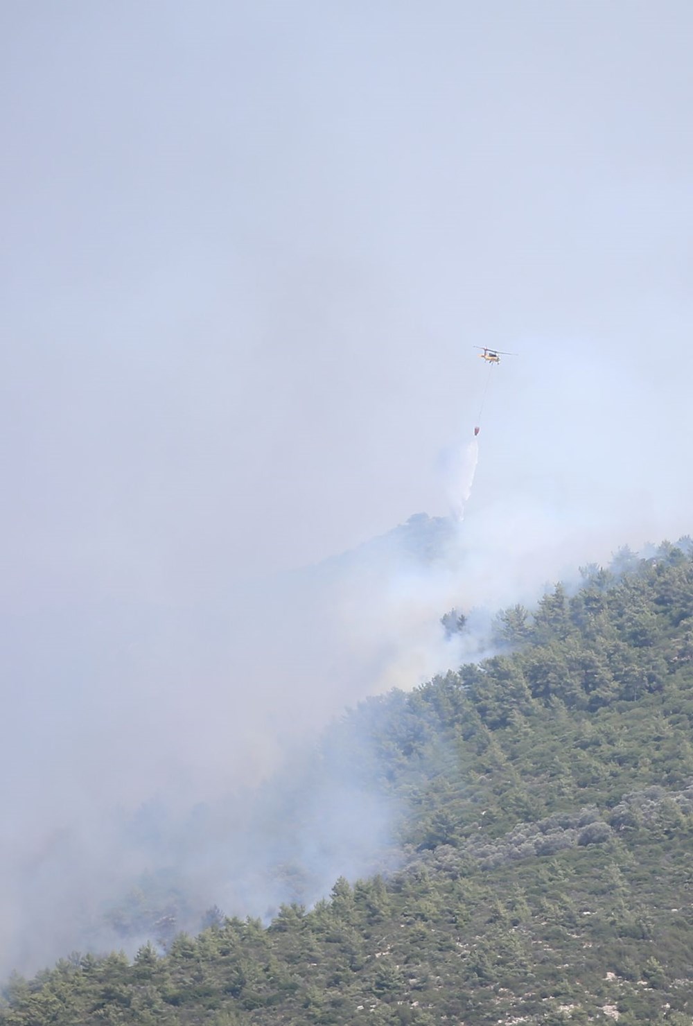 Bodrum'da orman yangını: Alevlere havadan ve karadan müdahale ediliyor - 5