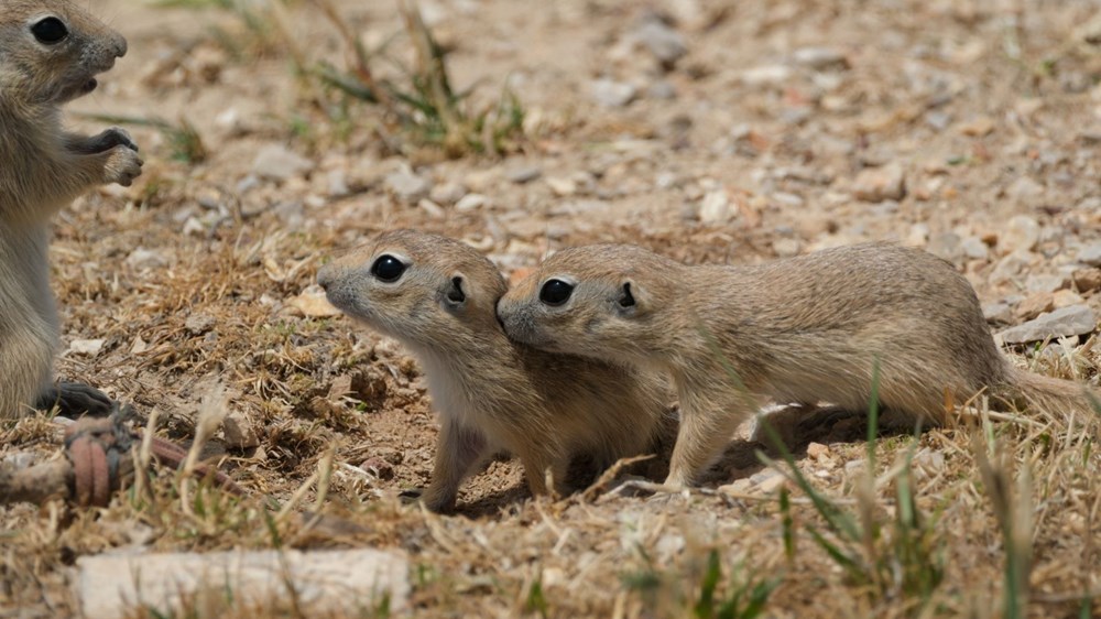 UEISI5s1Fk2IdOsOjV2UEg